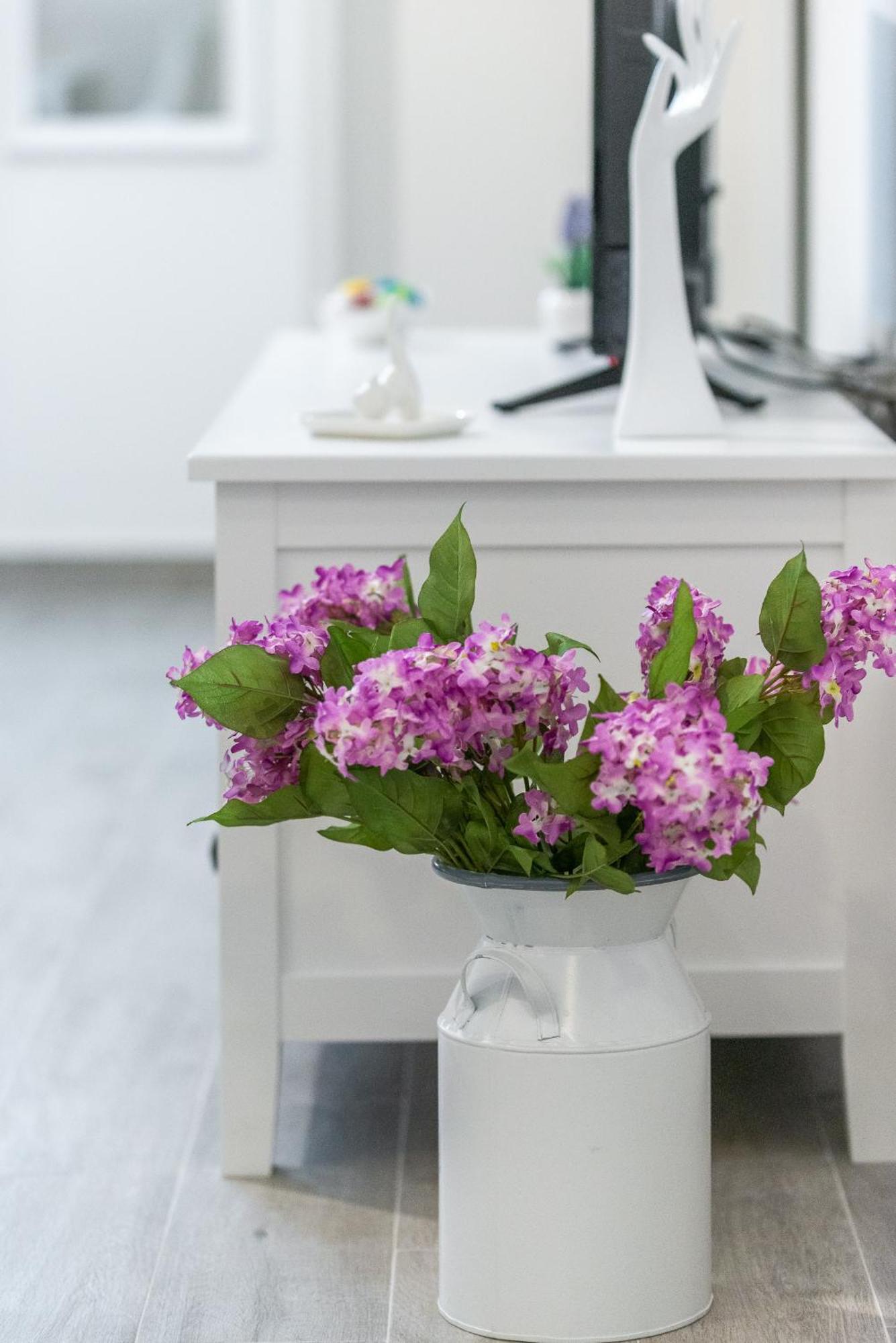 New Studio Apartment Teba Dubrovnik Ngoại thất bức ảnh